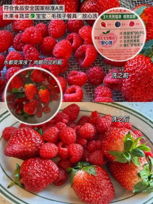 风暴平台登录：租房党必看！这9件平价清洁好物，让小窝秒变干净新家！